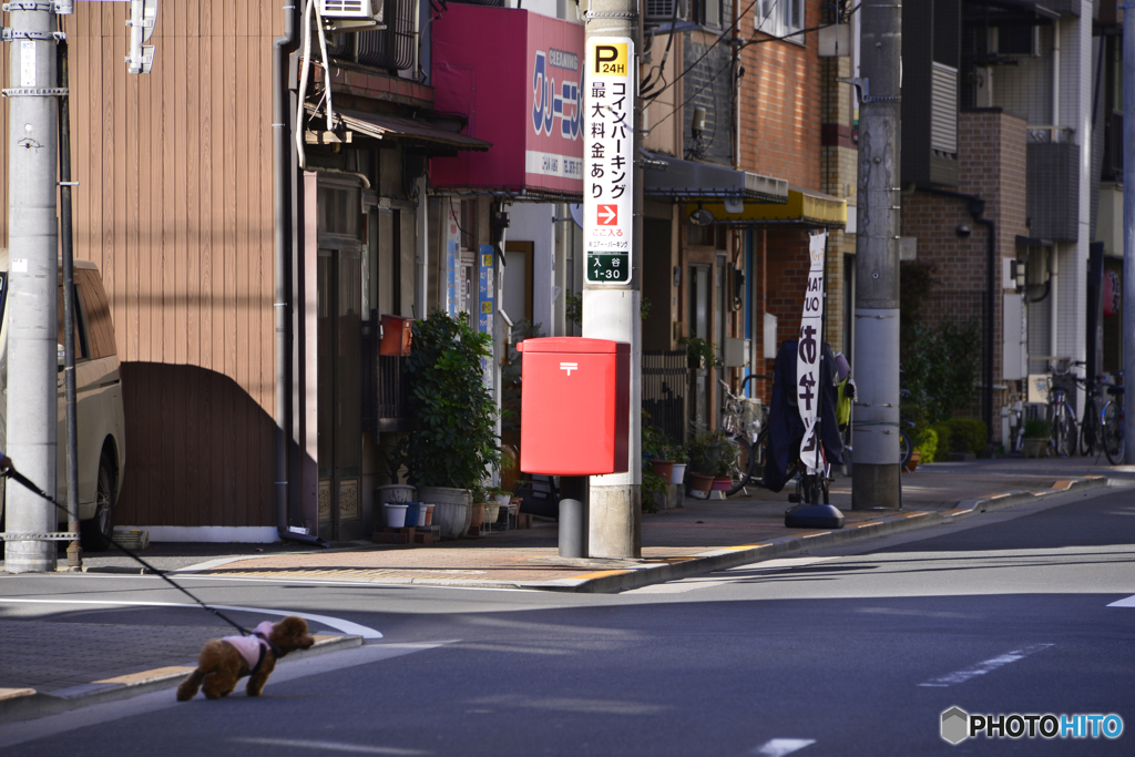 トイレにまっしぐら！