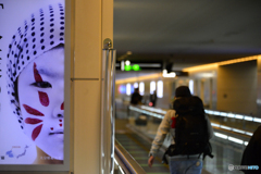 行ってみようかな？