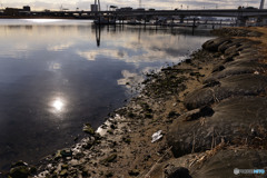 多摩川散歩---②