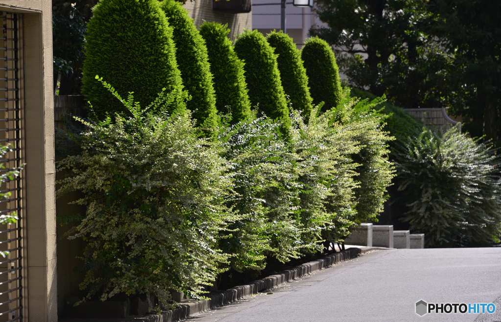植え込みこれもオシャレに見える・・・