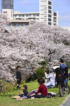 みんなの春が来た！---①