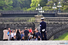楽しかったかい？