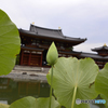 京都(宇治)・平等院---③