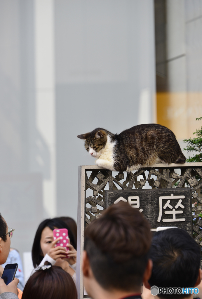 ある時の銀座---④