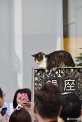 ある時の銀座---④