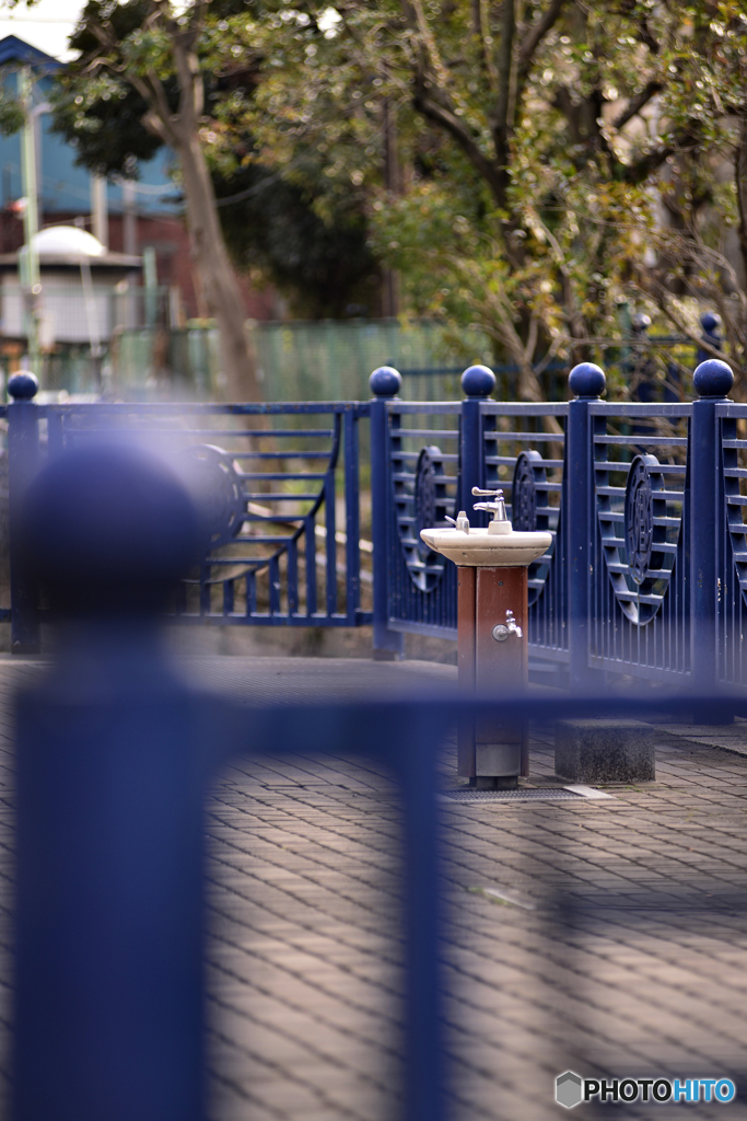 水辺の公園にて