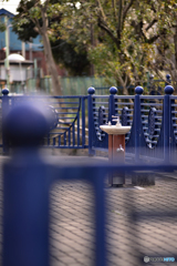 水辺の公園にて