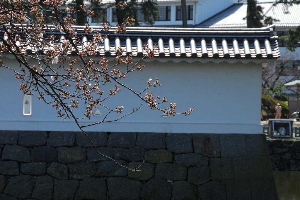 城にも春が---①