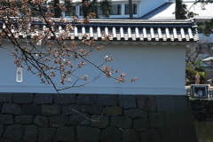 城にも春が---①