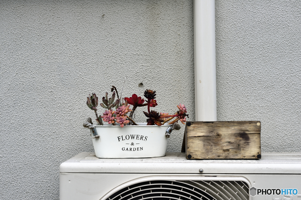 ほったらかし・・・