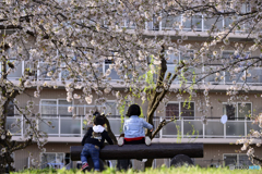 姉弟の春