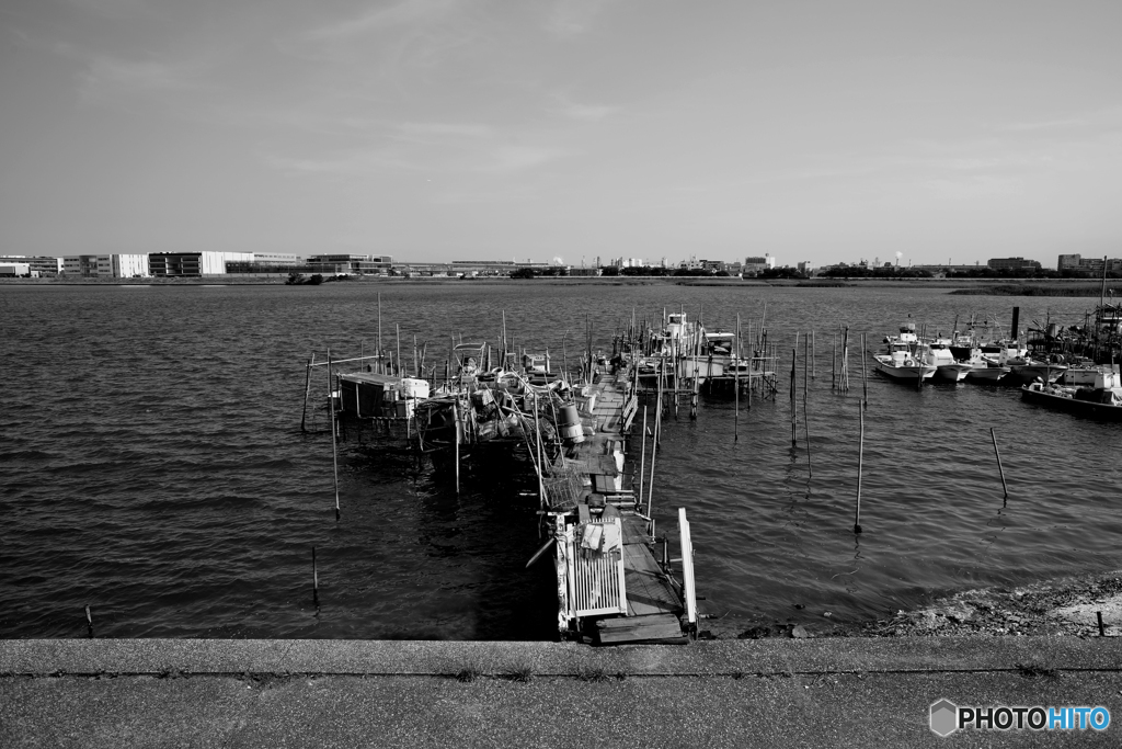 モノクロ散歩---⑥