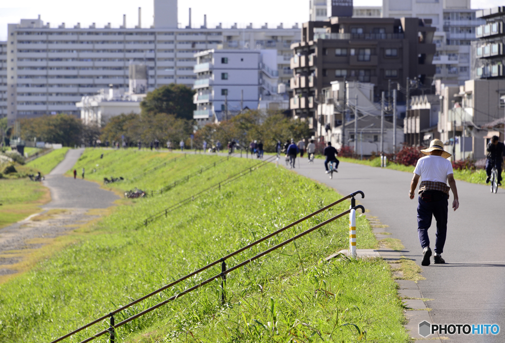 我が道を行く
