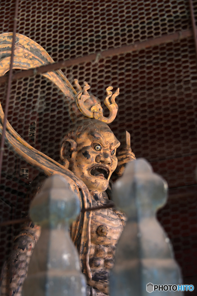 護国寺散歩---③