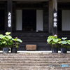 京都・大原寸景---④