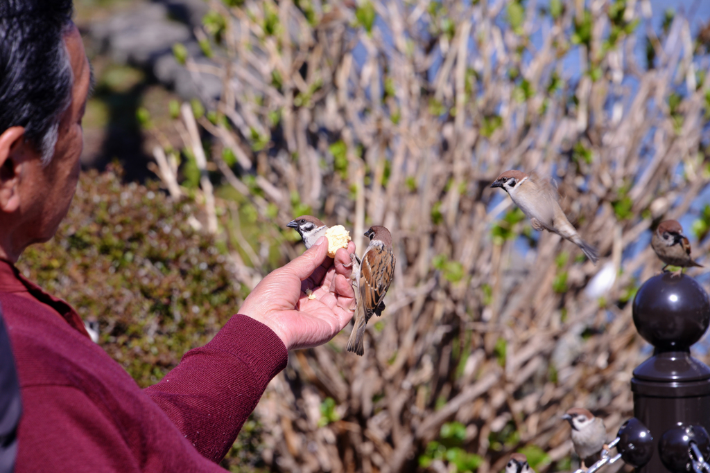 小春日和の食事時間