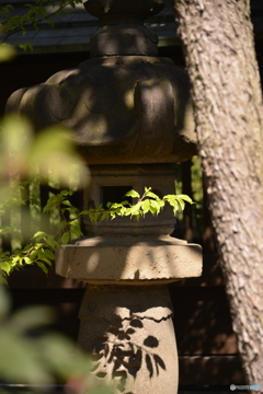 品川宿ぶらぶら歩き----②