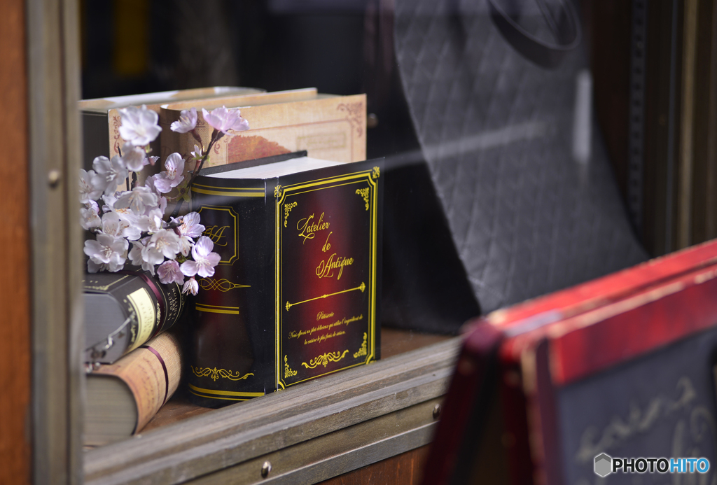 良く判らないけど撮りました