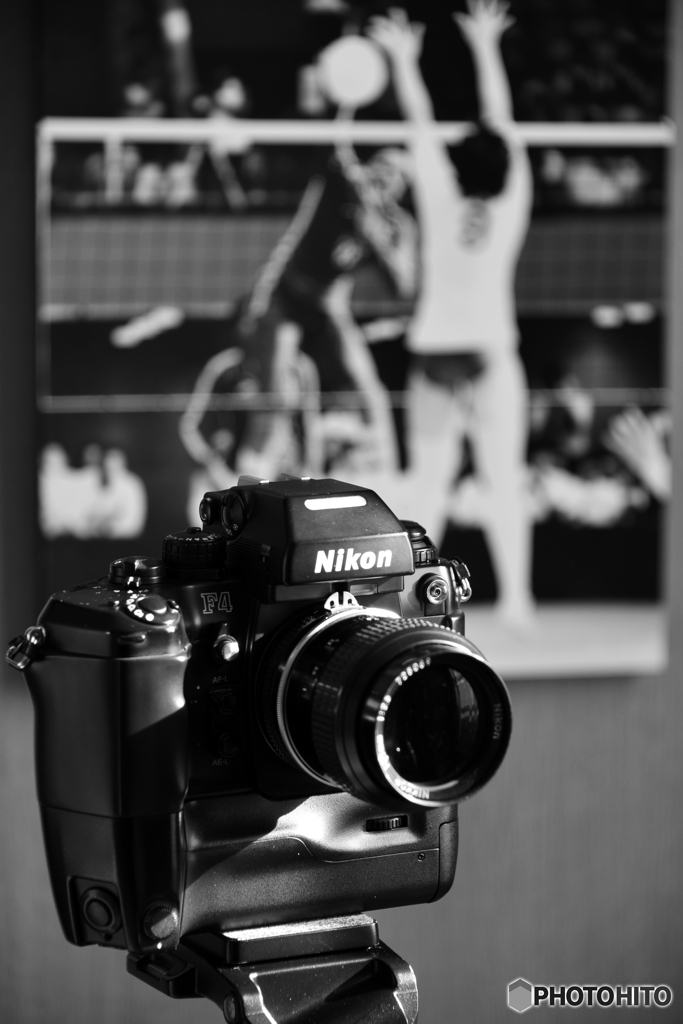 虫干ししましょ！----④