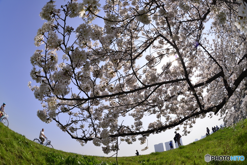 ひと時の幸せを感じる