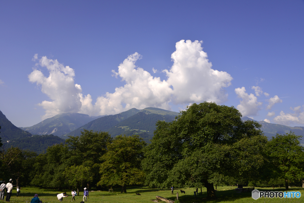 スイス・思い出の山々---14