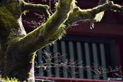 日光山輪王寺