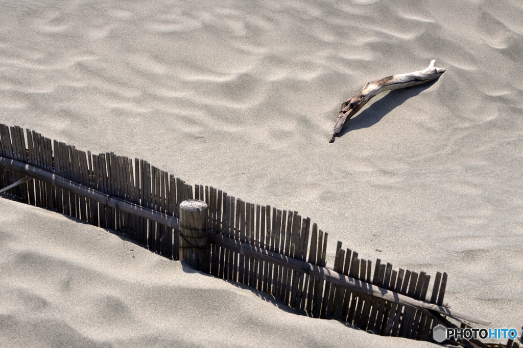 中田島砂丘----②