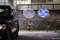理解の限界を超えた光景