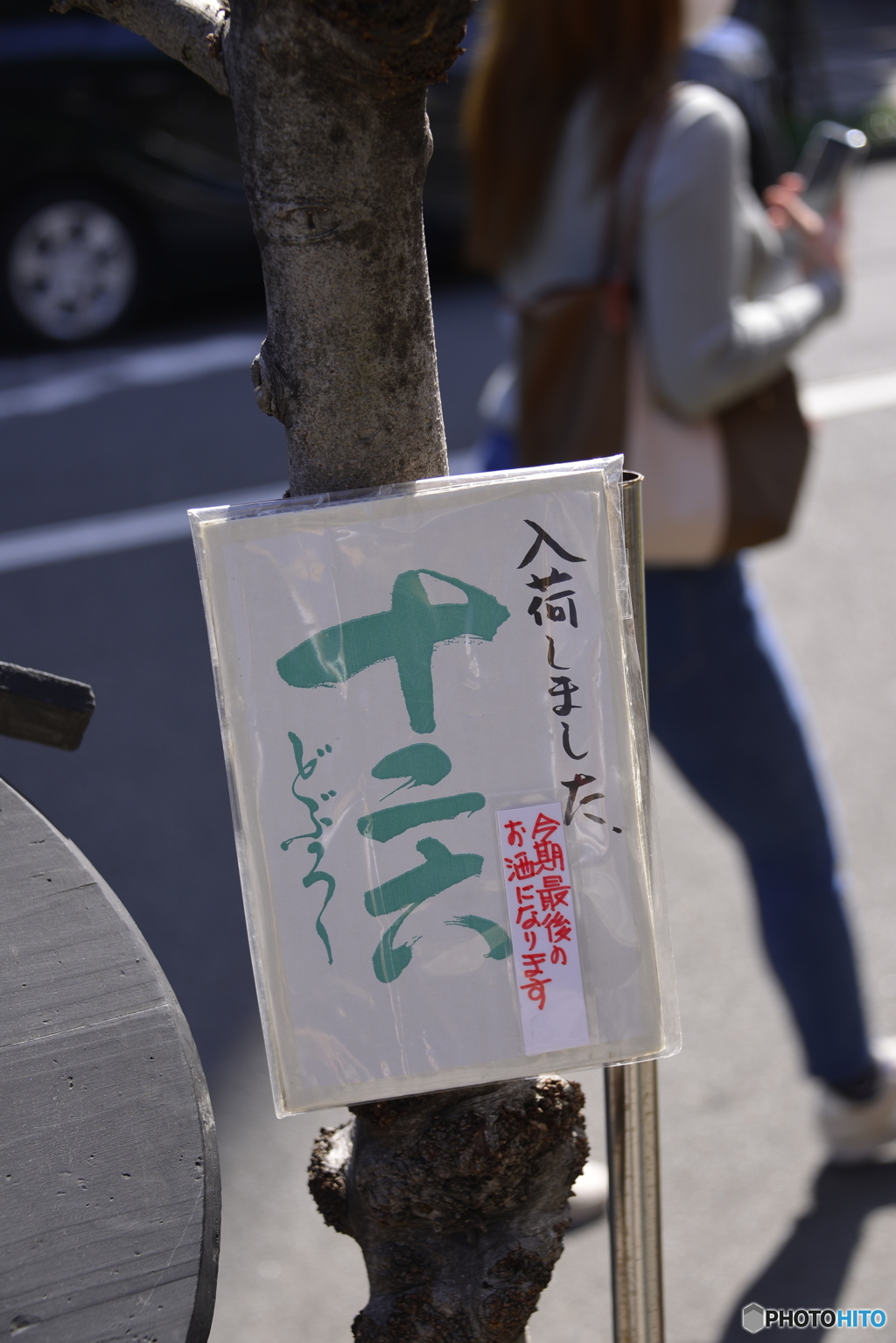 谷根千ぶらぶらカメラ散歩----(4)