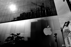 太陽と影、そしてリンゴ