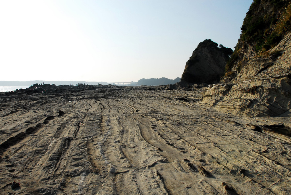 神奈川県・三浦海岸にて---①