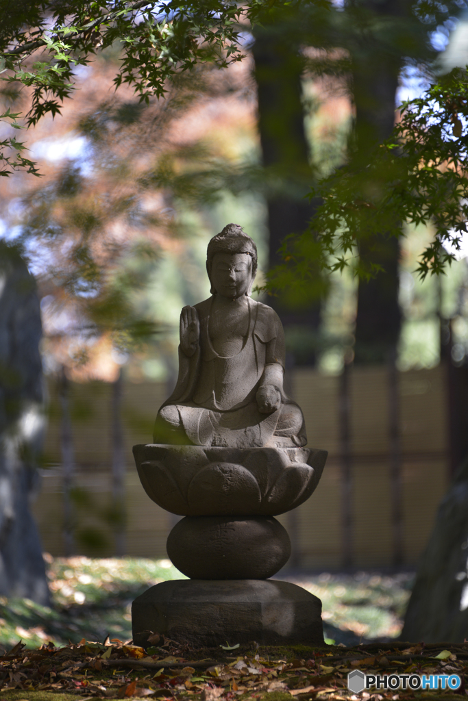 九品仏浄真寺の紅葉---⑮