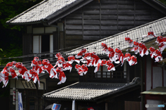 江戸時代にタイムスリップ----①