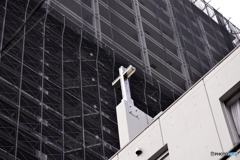 見上げれば・・