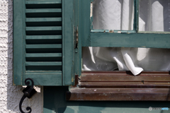 風を入れよう！