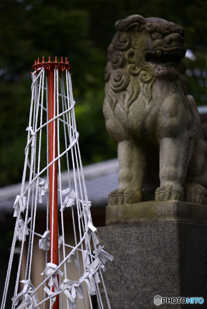 祈りよとどけ