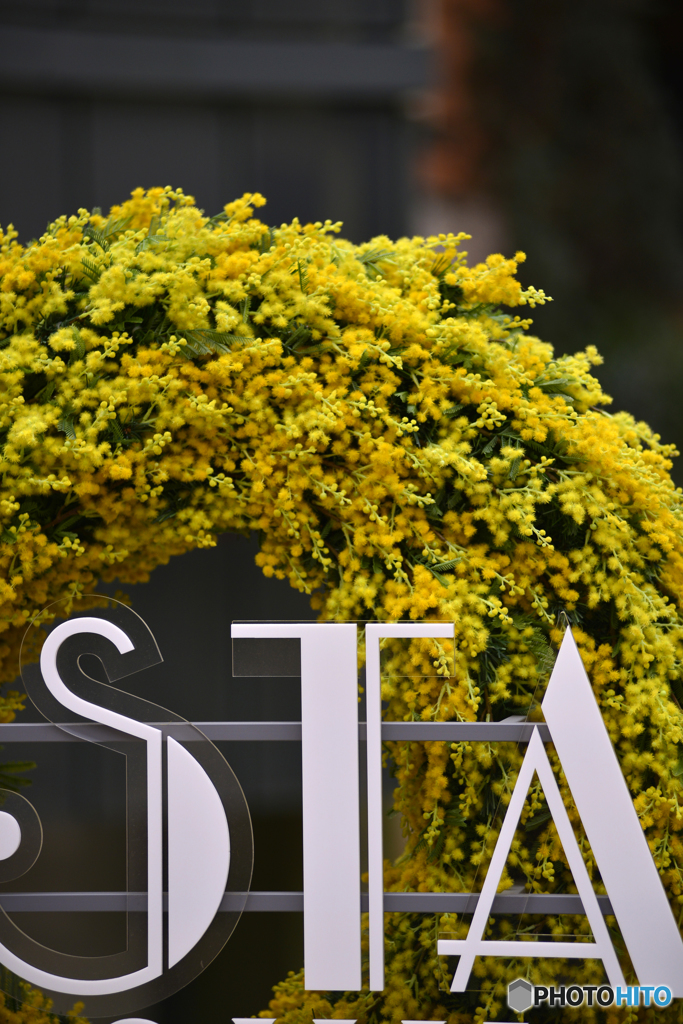 STA？
