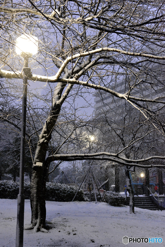 18豪雪・東京----④