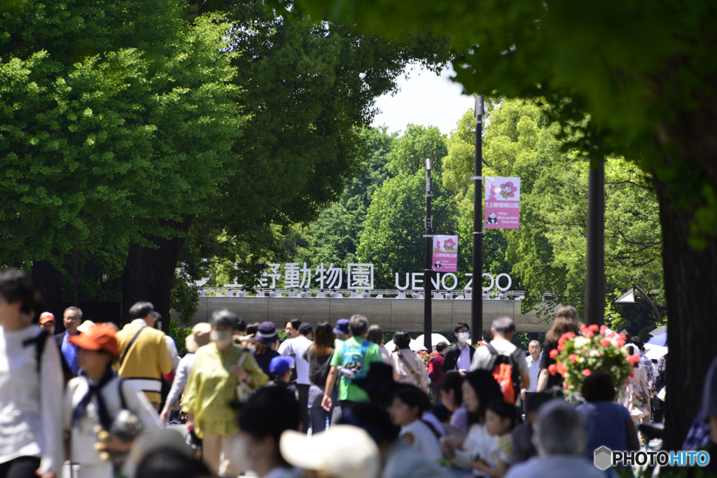 上野公園寸景---①