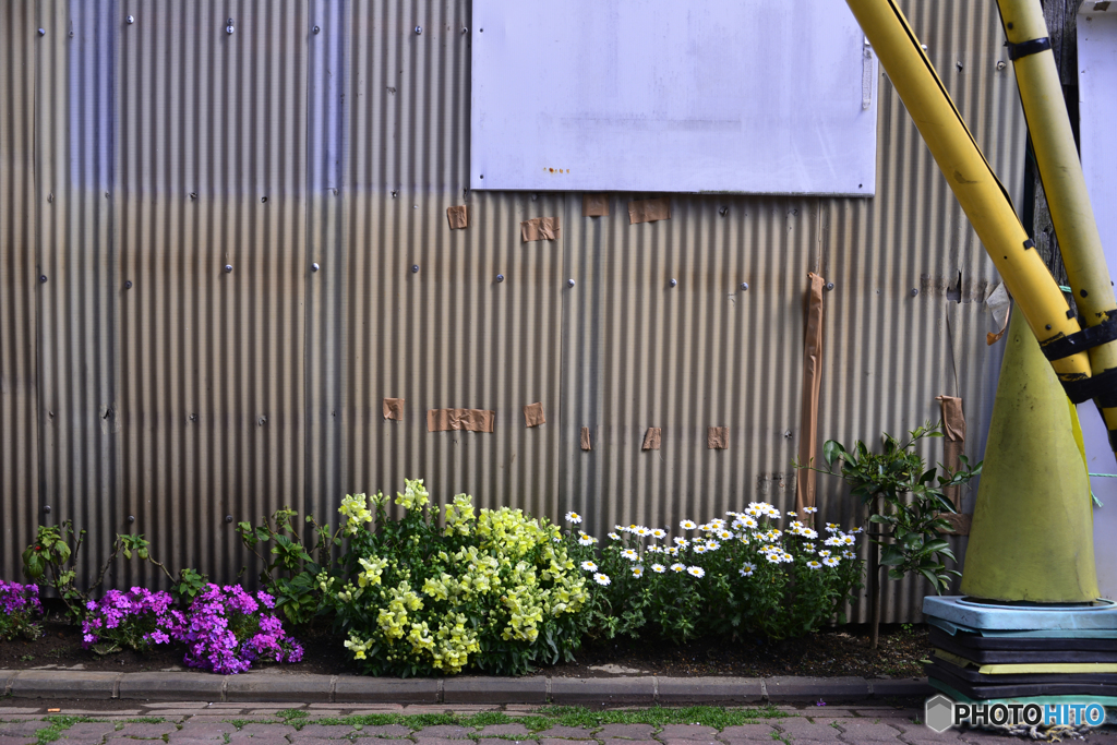 見ているようで、見てなくて・・見てた！