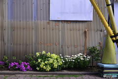 見ているようで、見てなくて・・見てた！