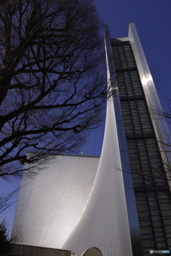 東京カテドラル聖マリア大聖堂---①