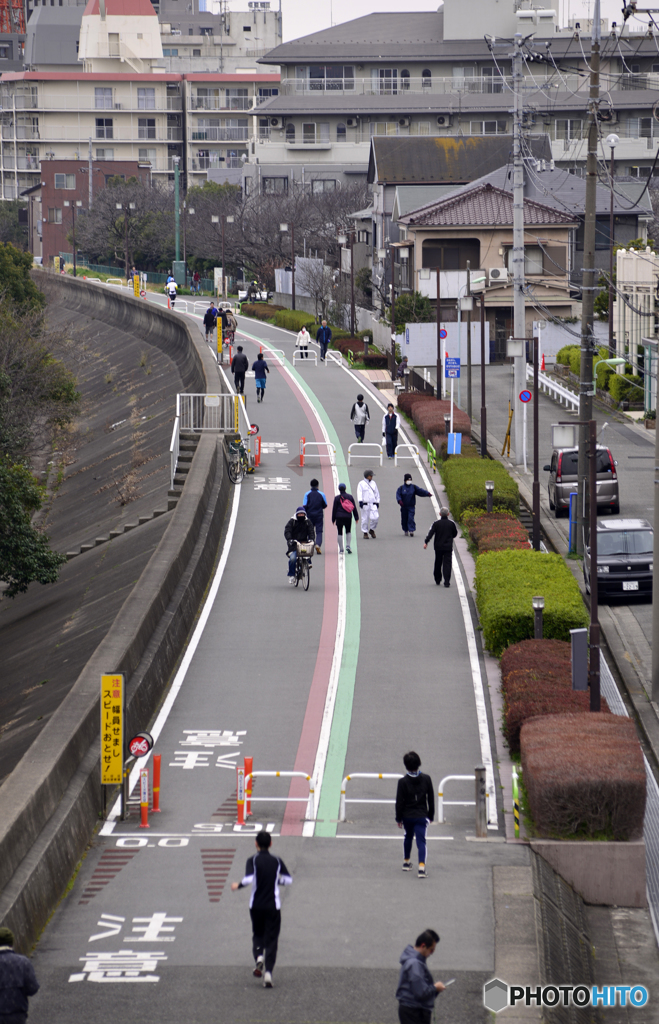 いつもの散歩道