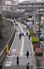 いつもの散歩道