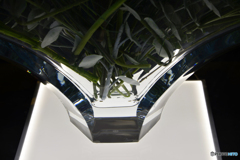 Baccarat（バカラ）