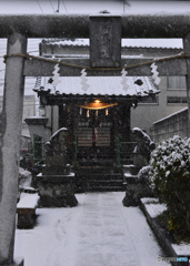 18豪雪・東京----⑤