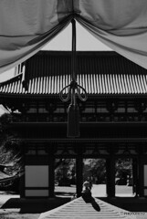 梅園へ向かう---②