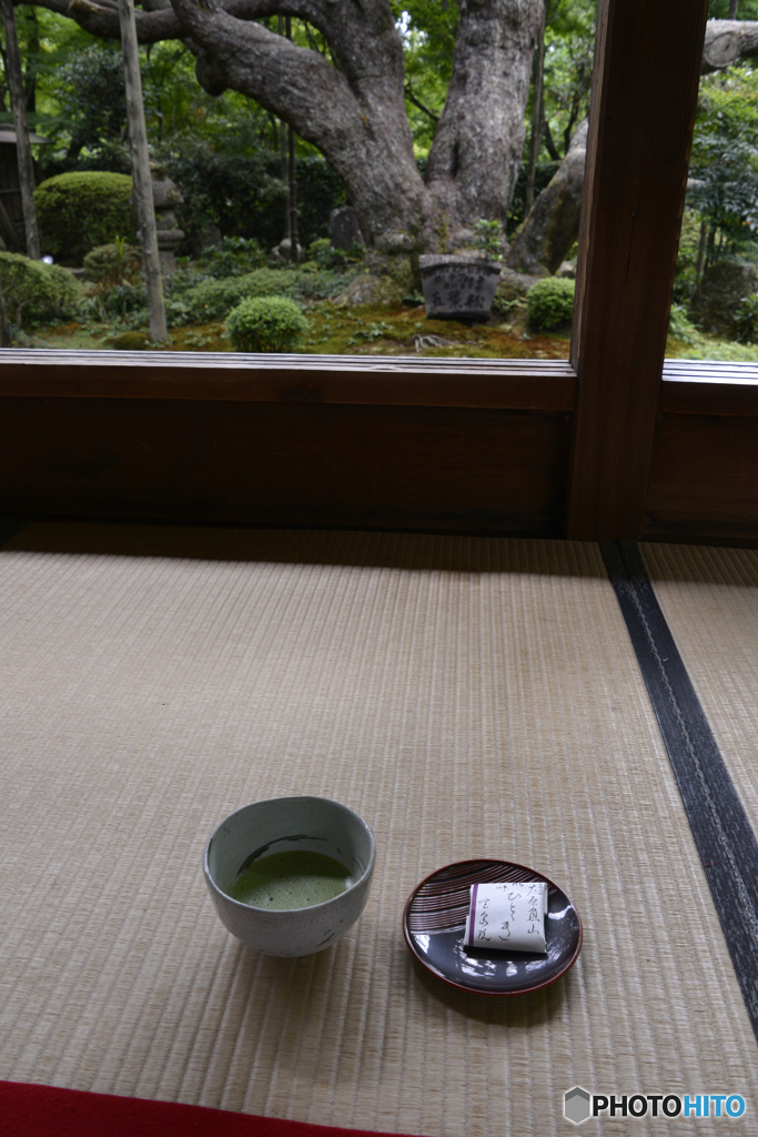 大原・宝泉院---③