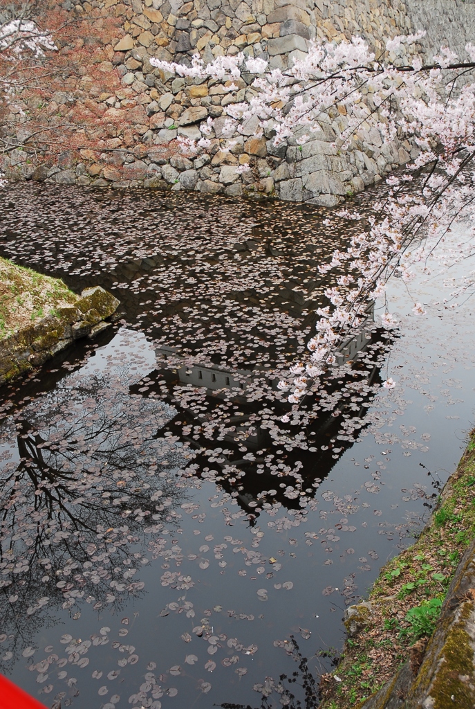 青森・弘前にて
