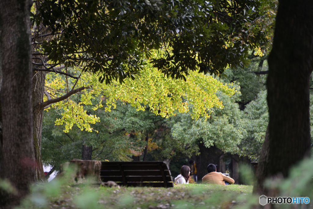 下町の公園